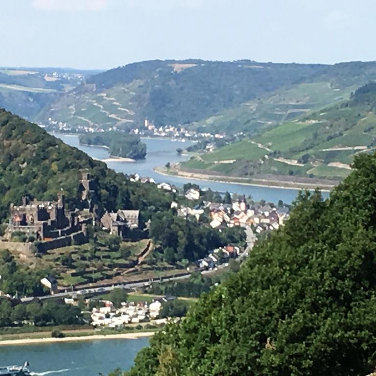 روديسهايم ام رين Landgasthof Germania المظهر الخارجي الصورة