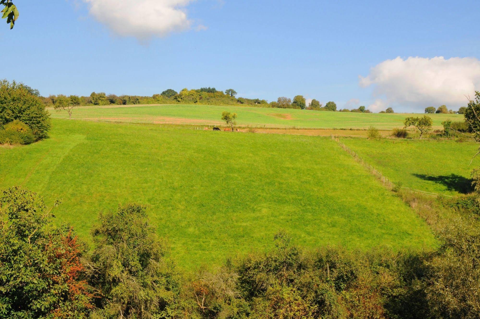 روديسهايم ام رين Landgasthof Germania المظهر الخارجي الصورة
